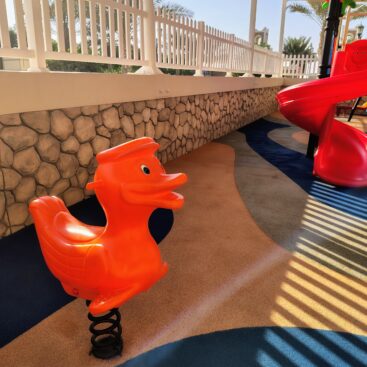 IMG_20251212_145254888_HDR_AE